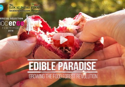 EdibleParadise