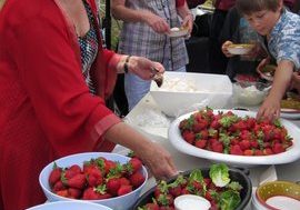 Strawberries Susan Adams